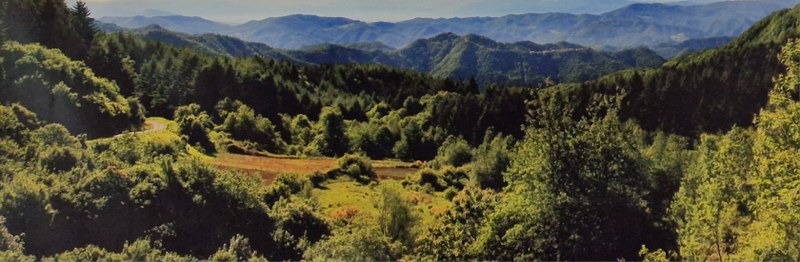 Fondo per lo Sviluppo delle Montagne Italiane - Avviso pubblico per le imprese femminili innovative montane