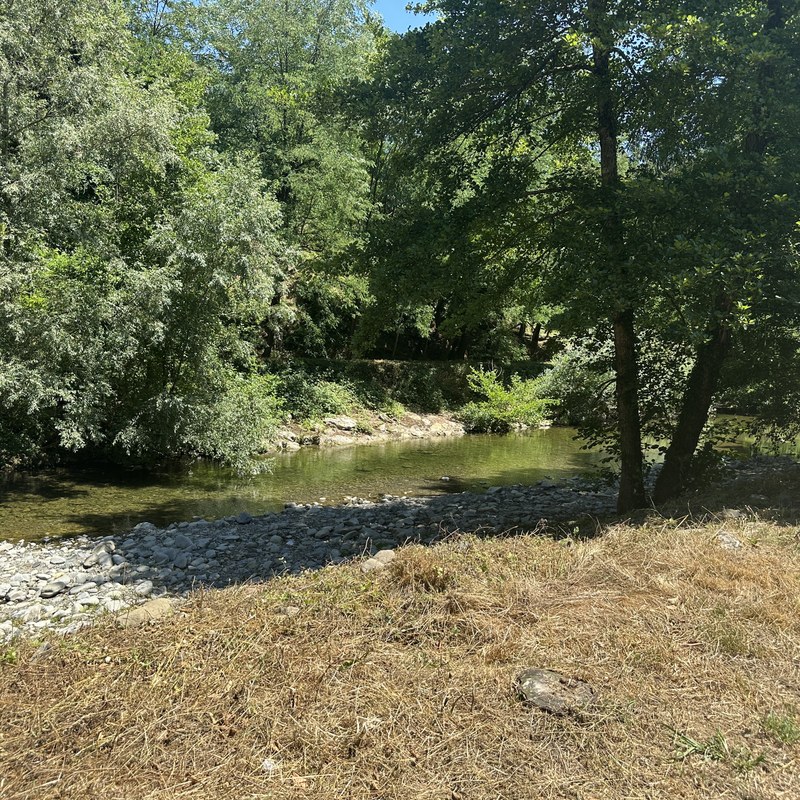 “Sulla riconversione del parco dell’Albereta si lavora a una convenzione con la Regione. Intanto cura e controlli”